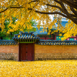 GYEONGBOKGUNG